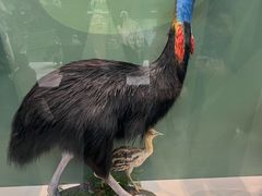 -国家自然博物馆