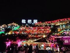 -枇杷园食为鲜火锅(南山店)