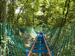 -燕子河大峡谷天坑仙境