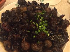 -陶然居·重庆菜(南滨路店)