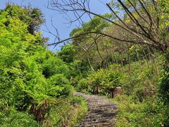 -水濂山森林公园