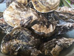 -山东八大碗山东老字号