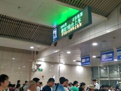 -小海豚国际游泳培训中心(浦东源深体育中心店)