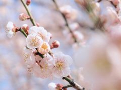 -国际非物质文化遗产博览园
