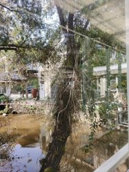 -爱帝宫月子中心(罗湖别墅院)