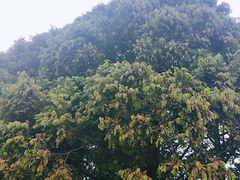 -兴隆海鲜菜馆
