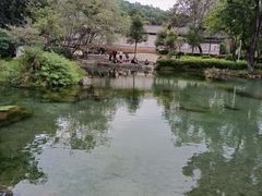 -黑龙潭公园
