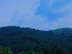 -福建土楼（华安）旅游区•大地土楼群