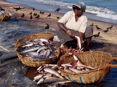 -尼甘布海鲜市场