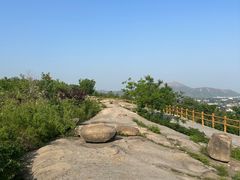 -白水寺森林公园