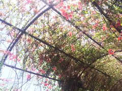 -The Grounds of Alexandria