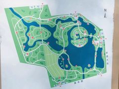 -大兴滨河森林公园