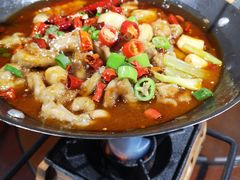 -东来菜馆•手抓海鲜家常菜•海鲜锅贴(鸽子窝店)