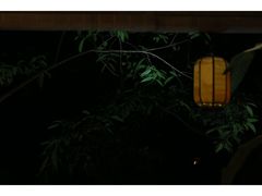 -火炉山森林公园