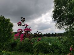 -云龙湖旅游景区