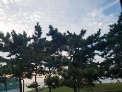 -山东大学(威海校区)