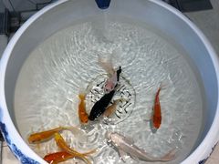 -华夏典当行(龙德广场店)