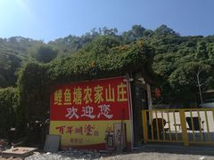 门面-鲤鱼塘农家山庄