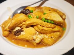 羊肚菌焖河源豆腐-大鸽饭(北京路店)