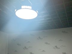 -剧狐剧本杀(徐汇1号店)