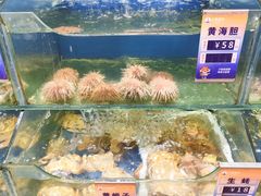 -小船渔村•大连菜•大连焖鱼(明泽街店)