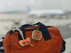 -广州白云国际机场-T2航站楼