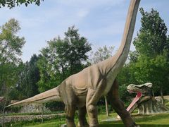 -西部长青自然儿童乐园