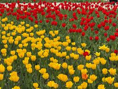 -长春公园(普阳街道)