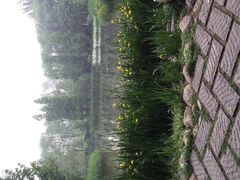 济南森林公园-济南森林公园