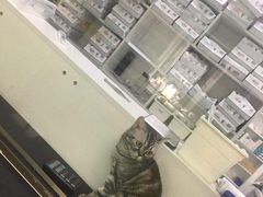 -北京观赏动物医院·24小时大型综合·猫专科·异宠专科