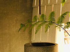 -二酉书店TOYOU BOOKS