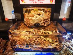 门面-蟹道乐(道顿堀本店)