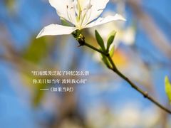 -厦门悦华酒店