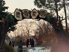 -茅山东方盐湖城景区