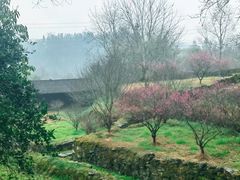 -唐崖土司城遗址