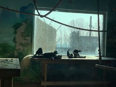 -大连森林动物园