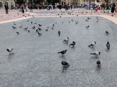 -加泰罗尼亚广场