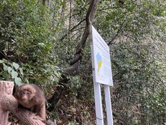 -九峰山