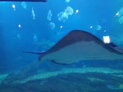 -石林冰雪海洋世界