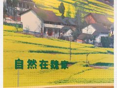 -魏家凉皮(黄雁村店)