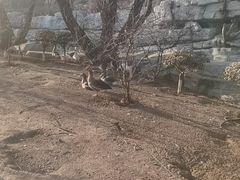 -太原动物园