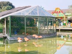 -常州淹城野生动物世界