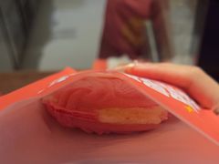 -粉粉乐鲷鱼烧(美罗城店)