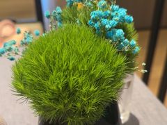 -高佳庄·海鲜酒楼(定海店)
