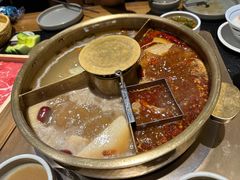 -巴奴毛肚火锅(九洲店)