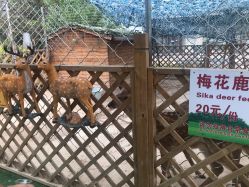 -萌宠亲子动物乐园(槐房万达店)