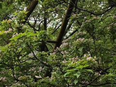 -幕燕滨江·长江观音景区