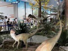 -湖南省地质博物馆