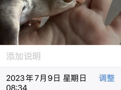 -立德动物医院·异宠·CT·鹦鹉(天河店)