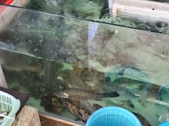 -辉记虾塘海鲜农庄